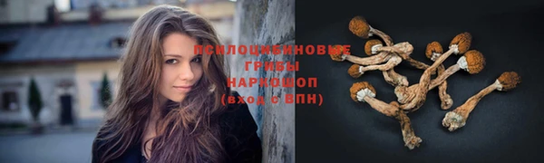 марки nbome Лиски