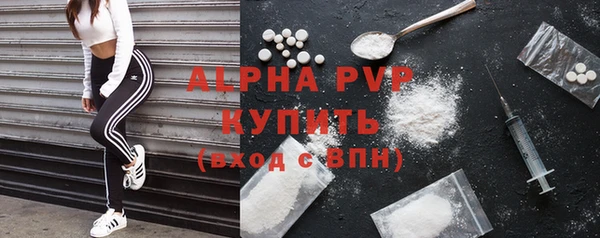 ПСИЛОЦИБИНОВЫЕ ГРИБЫ Лабытнанги
