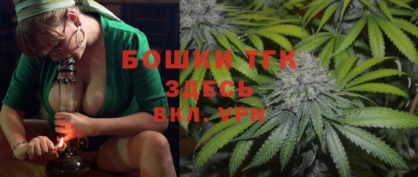 ПСИЛОЦИБИНОВЫЕ ГРИБЫ Лабытнанги