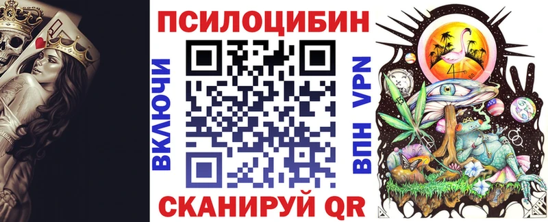 MEGA как зайти  Весьегонск  Галлюциногенные грибы прущие грибы  магазин  наркотиков 