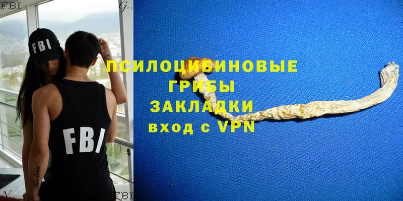 Галлюциногенные грибы мухоморы  omg ТОР  Весьегонск 